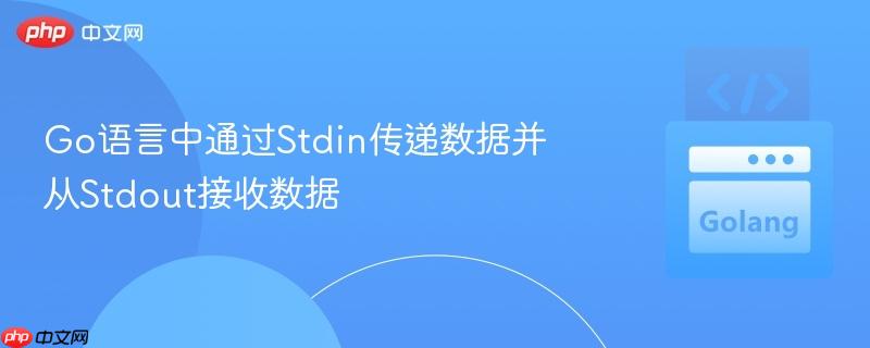 go语言中通过stdin传递数据并从stdout接收数据