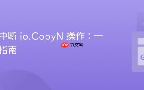 优雅地中断 io.CopyN 操作：一种实用指南