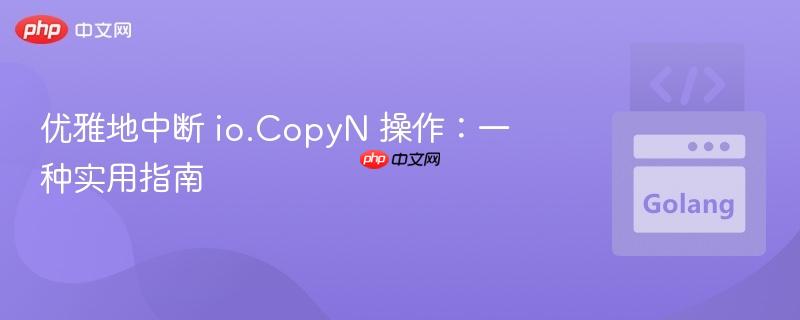 优雅地中断 io.copyn 操作:一种实用指南