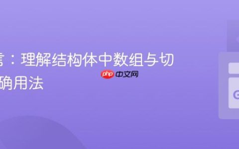 Go语言：理解结构体中数组与切片的正确用法