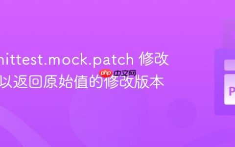 使用 unittest.mock.patch 修改类属性以返回原始值的修改版本