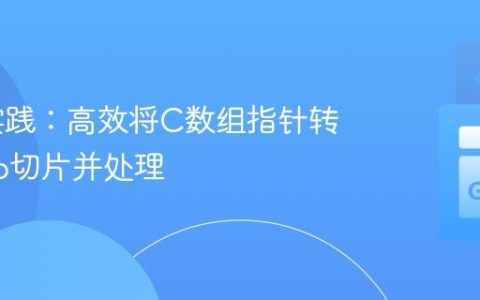 CGo实践：高效将C数组指针转换为Go切片并处理