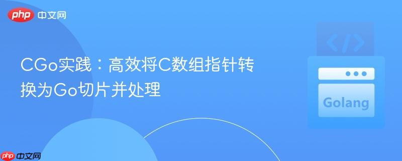 cgo实践:高效将c数组指针转换为go切片并处理