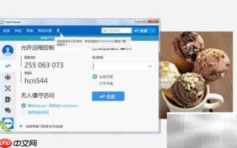 如何设置TeamViewer接收内测版