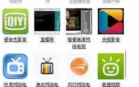 网络电视直播器使用指南
