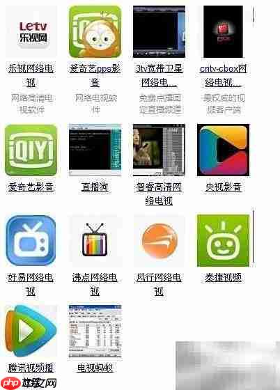 网络电视直播器使用指南