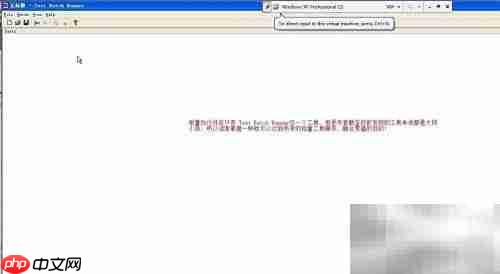 Test Batch Runner使用教程