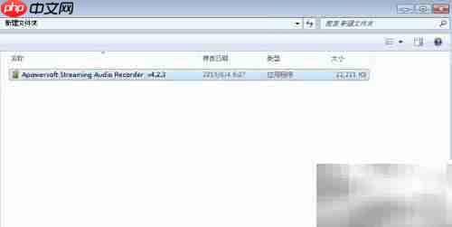 Apowersoft音频录制安装指南