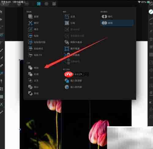 Designer相加的秘诀