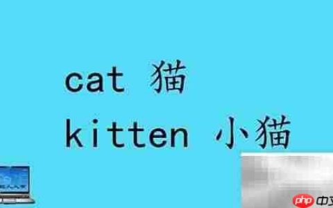 小动物英文名称大全