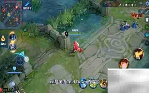 王者荣耀CD是什么意思