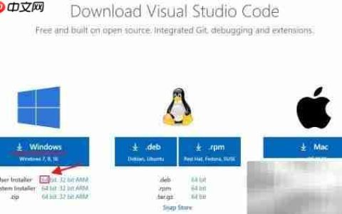 Visual Studio Code安装指南