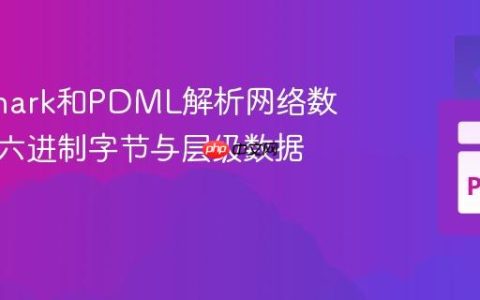 使用tshark和PDML解析网络数据包十六进制字节与层级数据关联