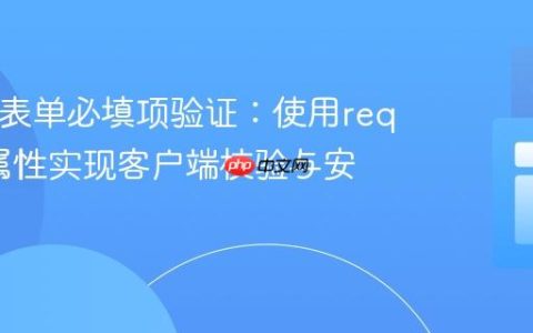 HTML表单必填项验证：使用required属性实现客户端校验与安全考量