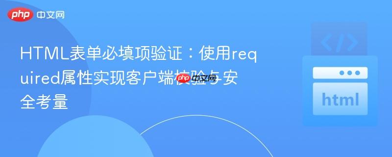 HTML表单必填项验证:使用required属性实现客户端校验与安全考量