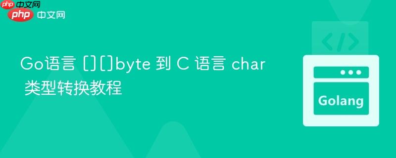 Go语言 [][]byte 到 C 语言 char 类型转换教程