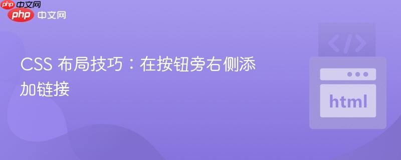 css 布局技巧:在按钮旁右侧添加链接