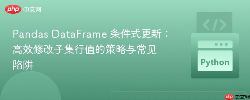 Pandas DataFrame 条件式更新:高效修改子集行值的策略与常见陷阱