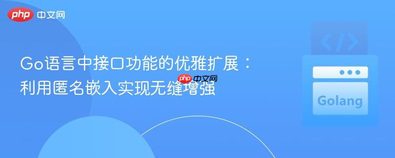 Go语言中接口功能的优雅扩展:利用匿名嵌入实现无缝增强