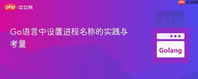Go语言中设置进程名称的实践与考量