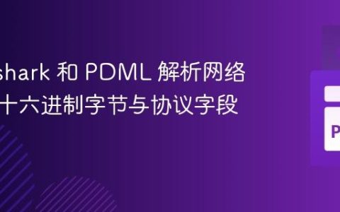 使用 Tshark 和 PDML 解析网络数据包十六进制字节与协议字段映射