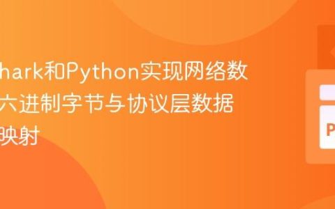 使用Tshark和Python实现网络数据包十六进制字节与协议层数据的精细映射