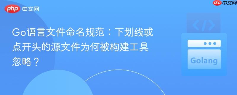 Go语言文件命名规范:下划线或点开头的源文件为何被构建工具忽略?