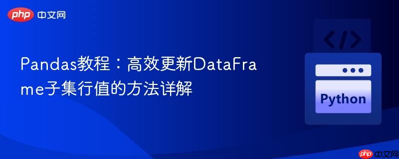 Pandas教程:高效更新DataFrame子集行值的方法详解