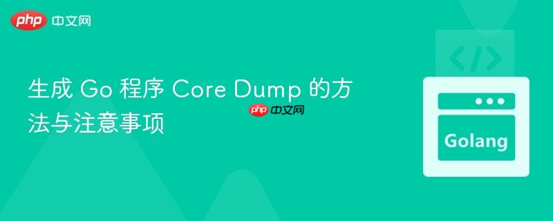 生成 go 程序 core dump 的方法与注意事项