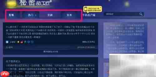 秘密网页版使用指南