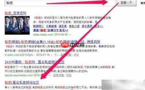 秘密网页版使用指南