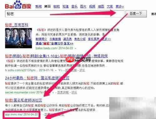 秘密网页版使用指南