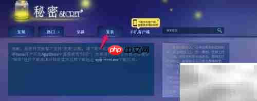 秘密网页版使用指南