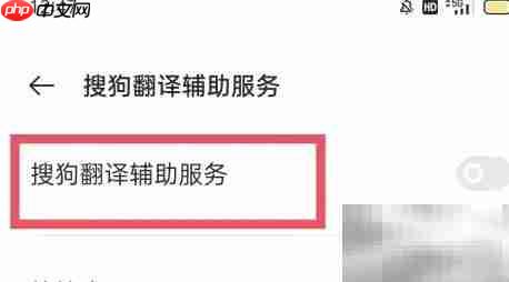 搜狗翻译辅助服务开启指南