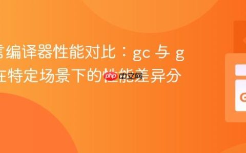 Go语言编译器性能对比：gc 与 gccgo 在特定场景下的性能差异分析