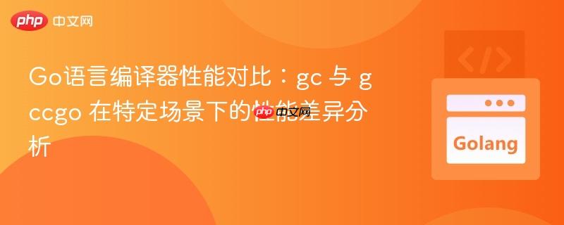 Go语言编译器性能对比：gc 与 gccgo 在特定场景下的性能差异分析