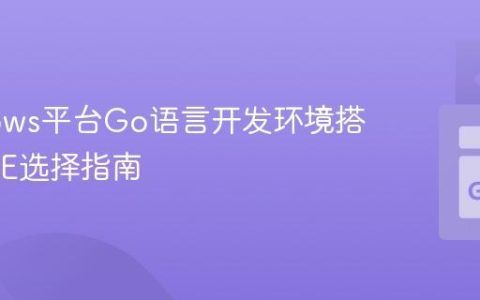Windows平台Go语言开发环境搭建与IDE选择指南