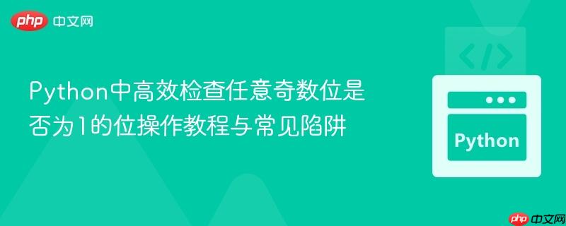 python中高效检查任意奇数位是否为1的位操作教程与常见陷阱
