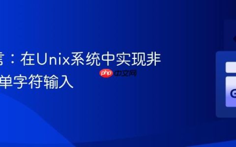 Go语言：在Unix系统中实现非阻塞式单字符输入