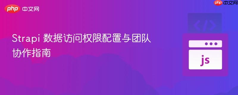 strapi 数据访问权限配置与团队协作指南