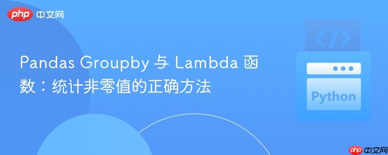pandas groupby 与 lambda 函数:统计非零值的正确方法