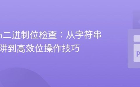 Python二进制位检查：从字符串比较陷阱到高效位操作技巧
