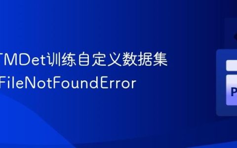 使用RTMDet训练自定义数据集时解决FileNotFoundError