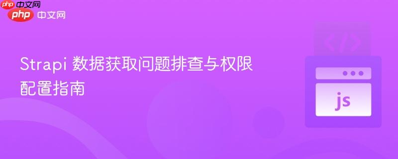 strapi 数据获取问题排查与权限配置指南