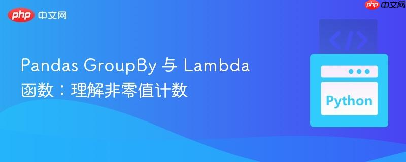pandas groupby 与 lambda 函数：理解非零值计数