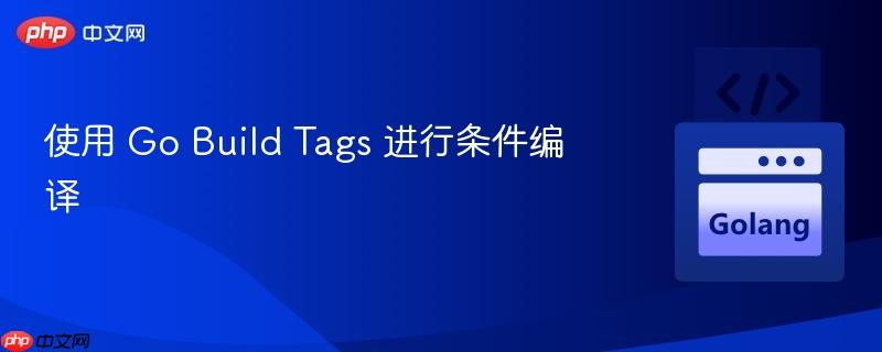 使用 go build tags 进行条件编译