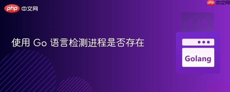 使用 go 语言检测进程是否存在