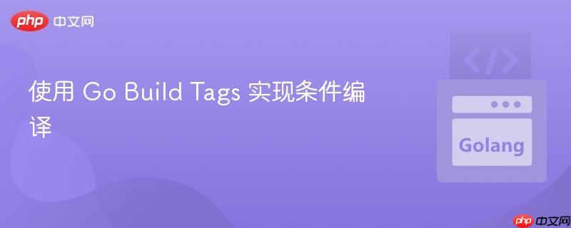 使用 go build tags 实现条件编译
