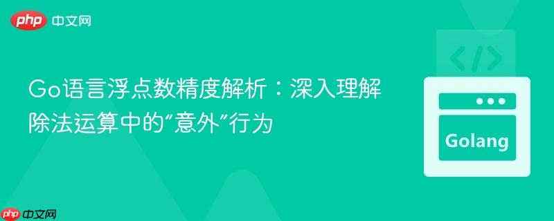 Go语言浮点数精度解析:深入理解除法运算中的“意外”行为