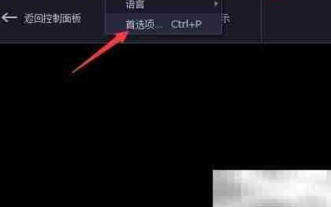 Capture Pro 11开启OpenGL指南